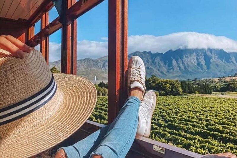 From Cape Town: Full-Day Cape Winelands Taste Tour + Tram - An Overview of the Tour Experience