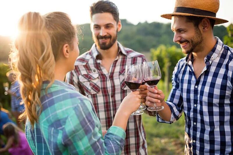 From Cape Town: Full-Day Cape Winelands Taste Tour + Tram - Exploring Franschhoek via the Wine Tram