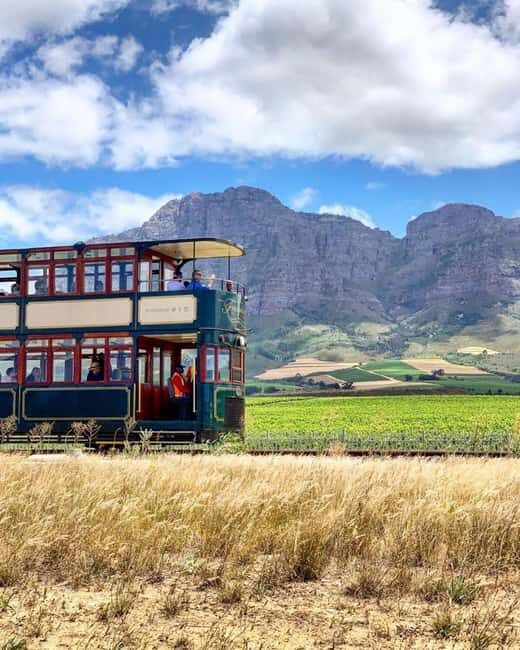 From Cape Town: Full-Day Cape Winelands Taste Tour + Tram - Free Time in Franschhoek