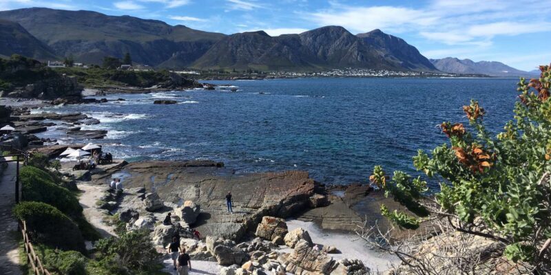 From Cape Town: Full Day Tour to Hermanus - Practical Tips & Considerations