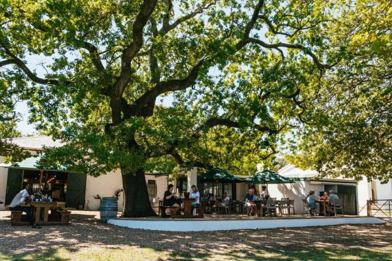From Cape Town: Full Day Winelands Tour with wine tastings - What’s Included & What to Expect