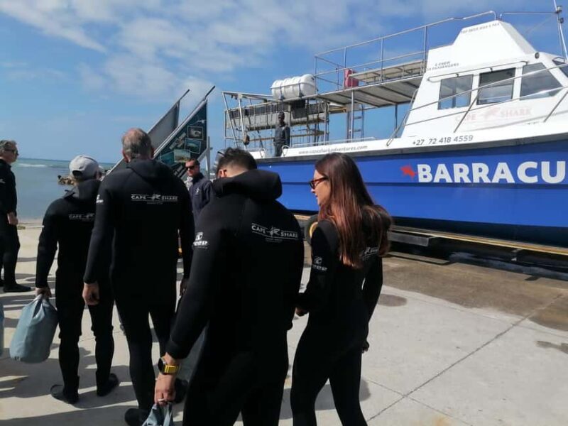 From Cape Town: Gans Bay Shark Cage Diving - Introduction