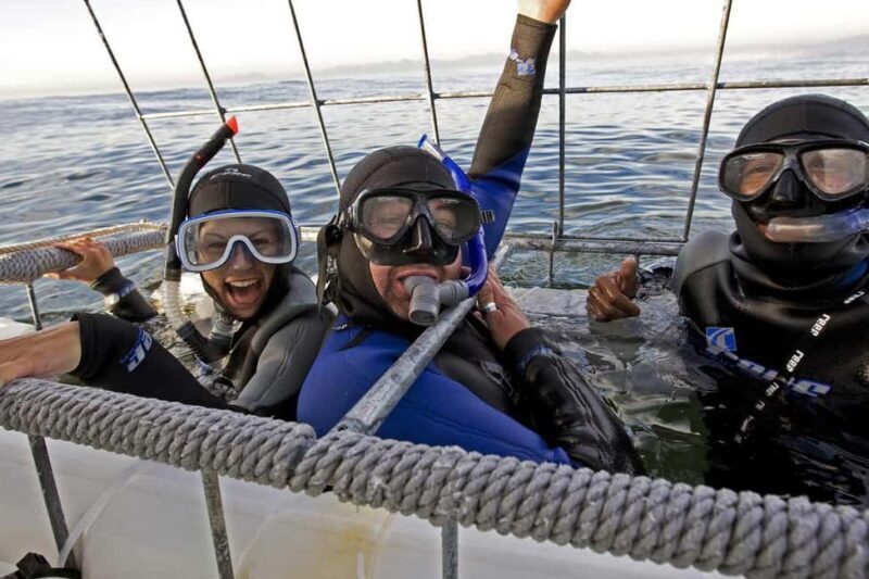From Cape Town: Gans Bay Shark Cage Diving - Practical Details and Tips