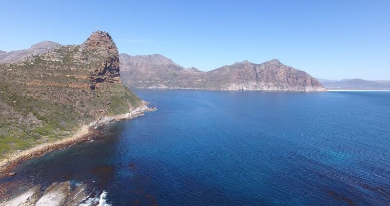 From Cape Town: Glass-Bottom Boat Seal Watching Tour - A Detailed Look at the Seal Watching Experience
