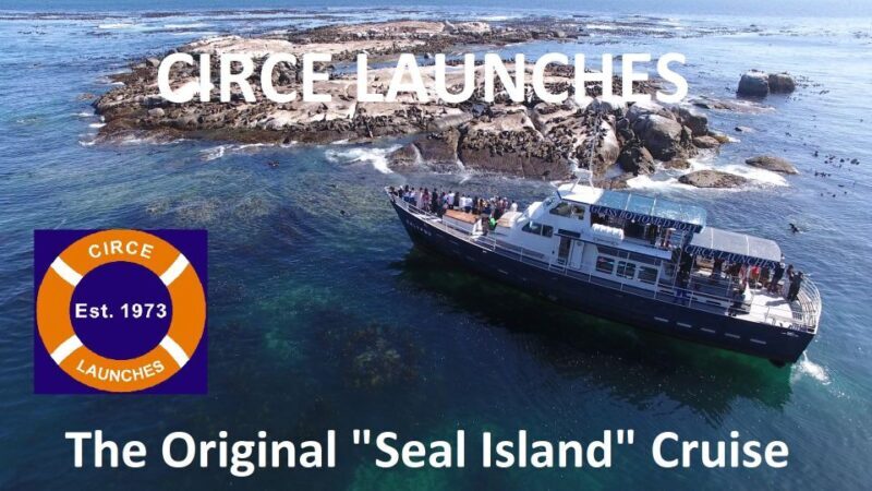 From Cape Town: Glass-Bottom Boat Seal Watching Tour - Who Should Consider This Tour?