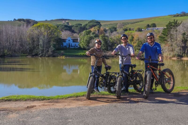 From Cape Town: Half-Day Winelands E-Bike Tour - Authentic Experiences from Reviewers