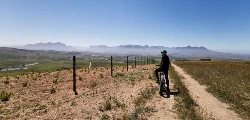 From Cape Town: Half-Day Winelands E-Bike Tour - The Value Proposition