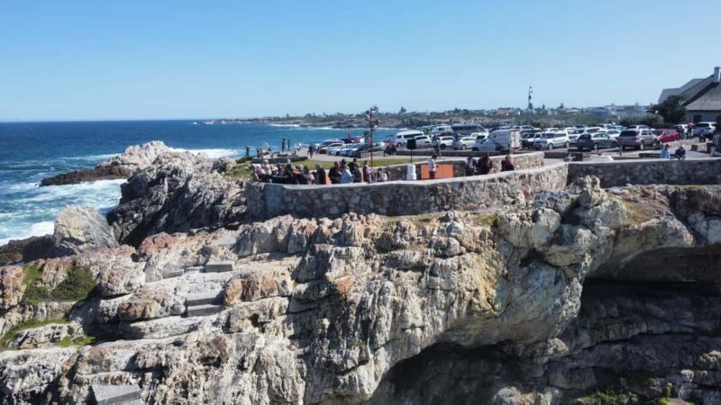 From Cape Town: Hermanus Whale Watching Tour with Boat Trip - The Sum Up