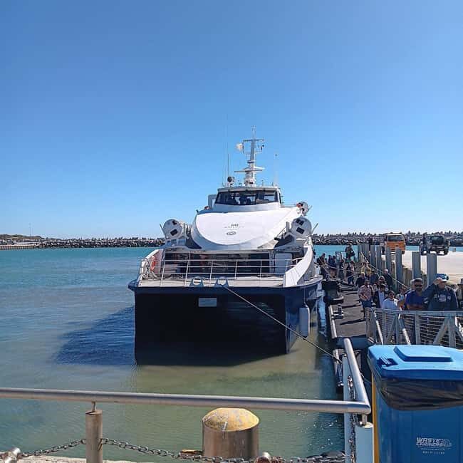From Cape Town: Robben Island & Table Mountain Full-Day Tour - The Experience from Reviews