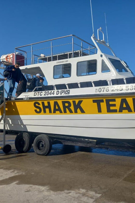 From Cape Town: Shark Cage Diving and Penguin Tour - Final Thoughts: Who Is This Tour Best For?