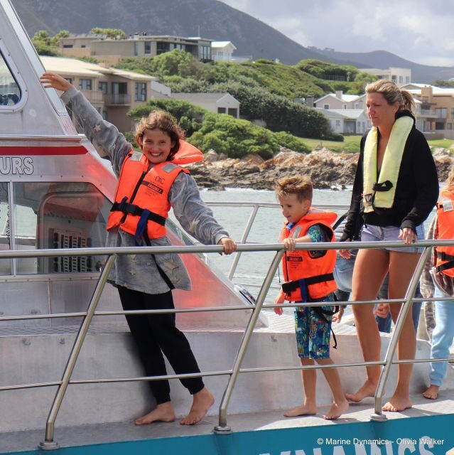 From Cape Town: Shark Cage Diving and Viewing - Introduction: The Thrill of Sharing the Ocean with Sharks