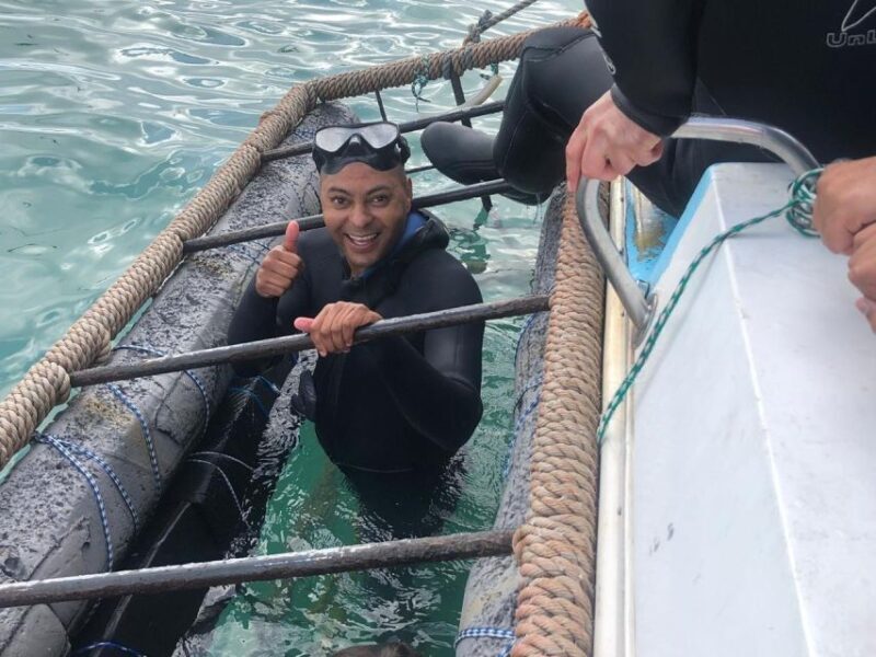 From Cape Town: Shark Cage Diving and Viewing - The Experiences Highlights