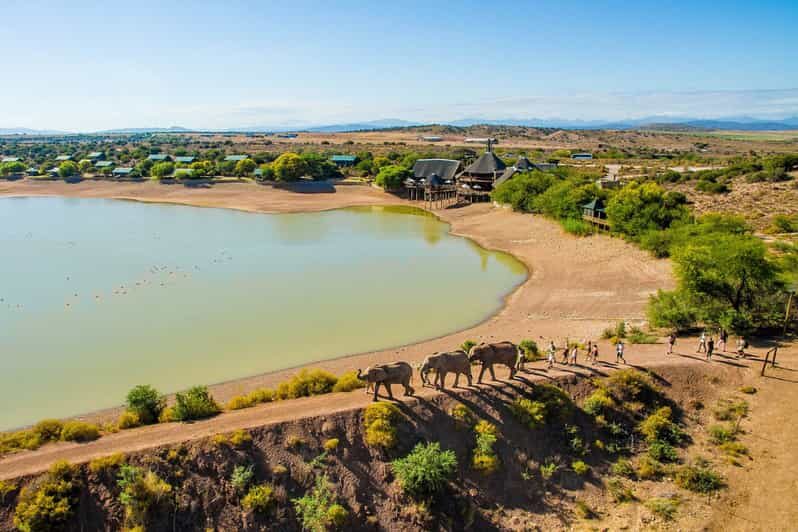 From Cape Town: South African Wildlife and Safari 2-Day Tour - Key Points