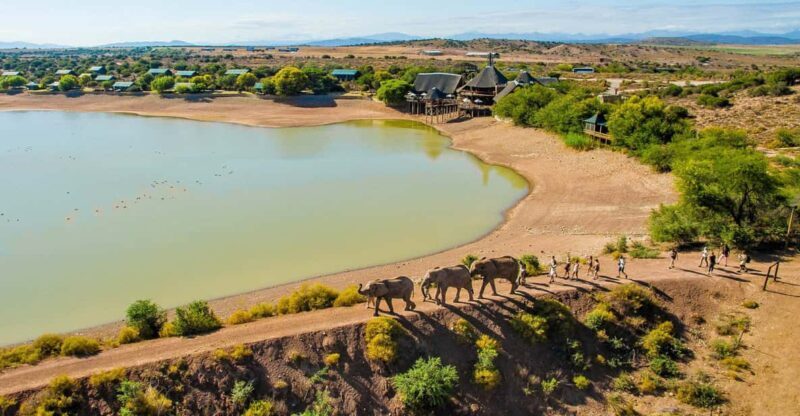 From Cape Town: South African Wildlife and Safari 2-Day Tour - Authentic Experiences from Travelers