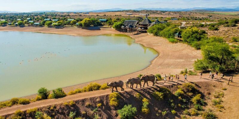 From Cape Town: South African Wildlife and Safari 2-Day Tour - The Sum Up