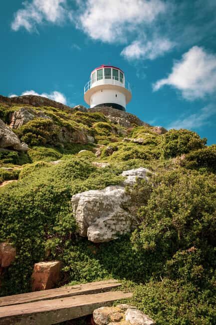From Cape Town: Table Mountain and Cape of Good Hope Tour - Who Will Love This Tour?