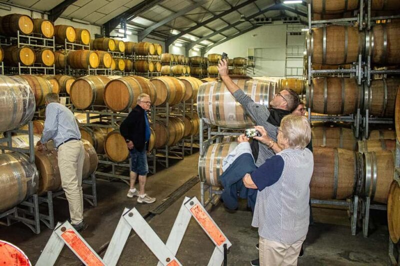 From Cape Town: Wine Tasting Tour Stellenbosch, Franschoek - Key Points