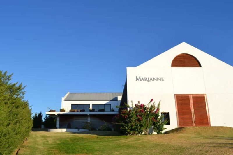 From Cape Town: Winelands Day Trip w/ Wine & Cheese Tastings - Key Points  