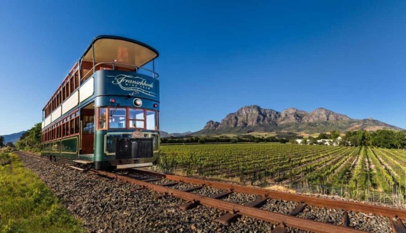 From Cape Town: Winelands Day Trip w/ Wine & Cheese Tastings - The Sum Up  