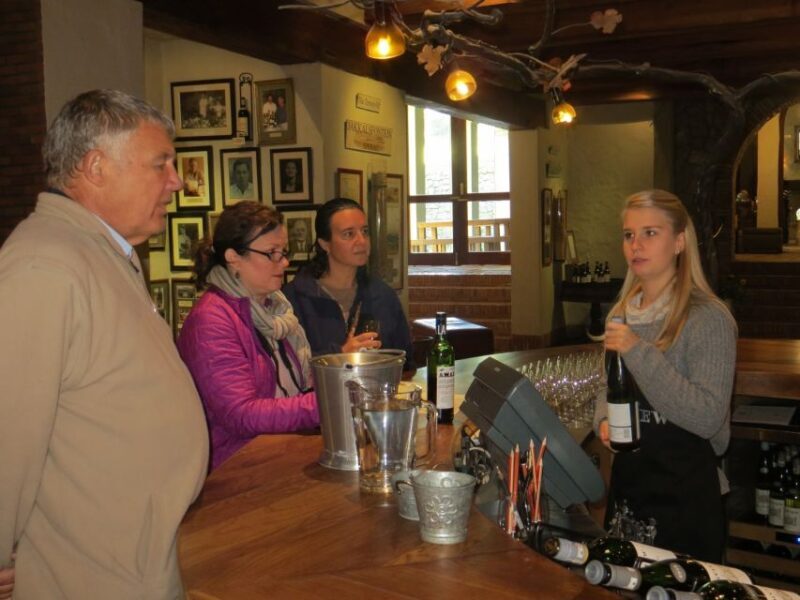 From Cape Town: Winelands Tour and Tastings - Exploring the Cape Winelands: What to Expect