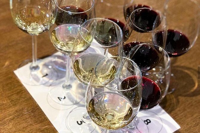 From CapeTown: Stellenbosch Half Day Wine Tour - Final Thoughts