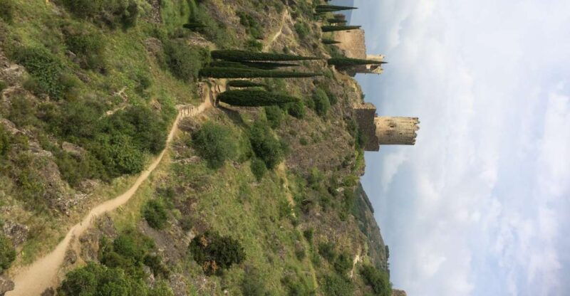 from-carcassonnelastours-castles-carcassonne-guided-tour