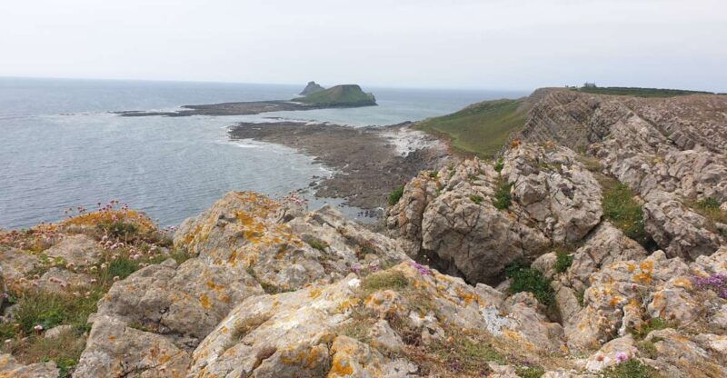 from-cardiff-mumbles-and-gower-peninsular-tour