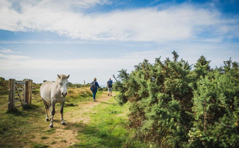 from-cardiff-mumbles-three-cliffs-worms-head-gower-tour