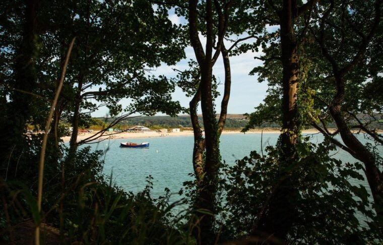from-cardiff-mumbles-three-cliffs-worms-head-gower-tour