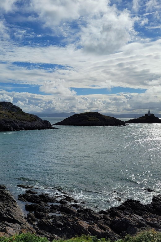 from-cardiff-the-wandering-bards-swansea-bay-day-tour