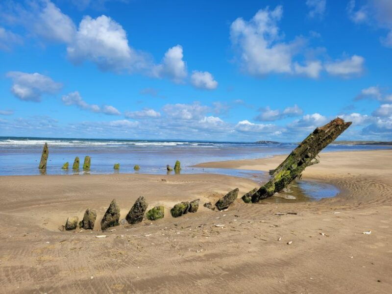 from-cardiff-the-wandering-bards-swansea-bay-day-tour