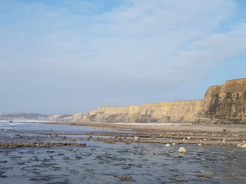 from-cardiff-tour-of-cardiff-bay-and-vale-of-glamorgan