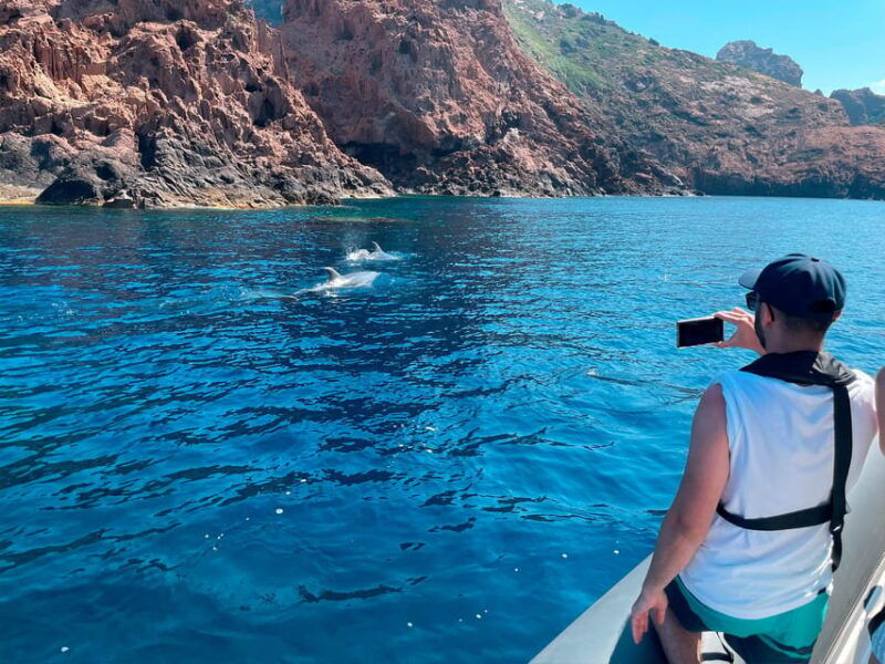 from-cargese-the-calanques-of-piana