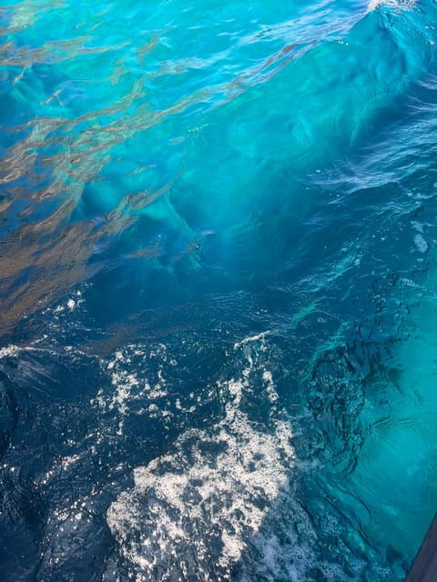 from-cargese-the-grand-tour-of-the-gulf