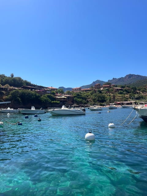 from-cargese-the-grand-tour-of-the-gulf