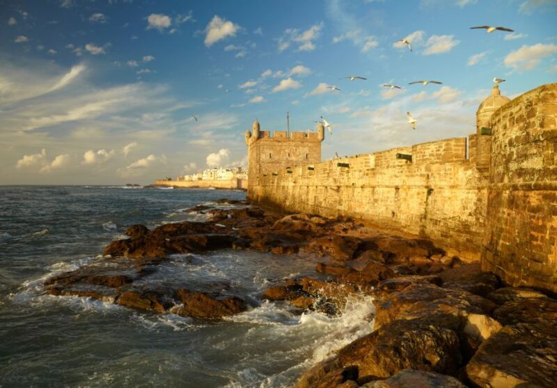 From Casablanca: Day Trip to Essaouira - Is This Tour Worth It?