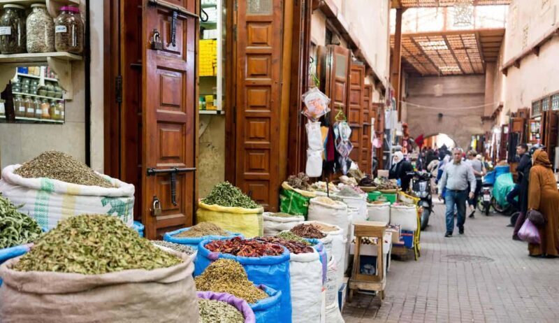 From Casablanca: Marrakech Guided Day Trip with Camel Ride - Final Thoughts