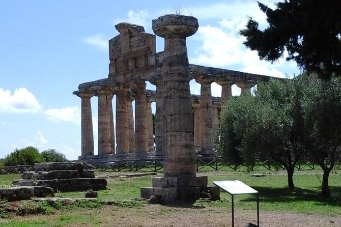 from-castellabate-paestum-temples-bufala-mozzarella-wine-tasting