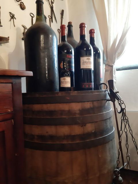 from-castellabate-pompeii-ruins-wine-tasting-lunch-tour