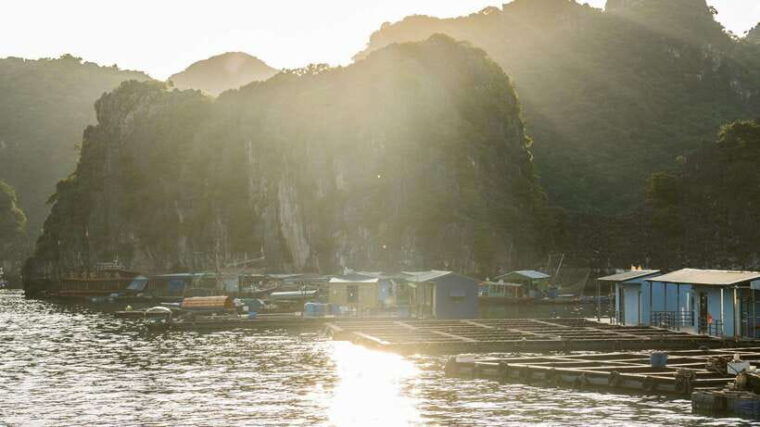 from-cat-ba-full-day-tour-explore-the-stunning-lan-ha-bay