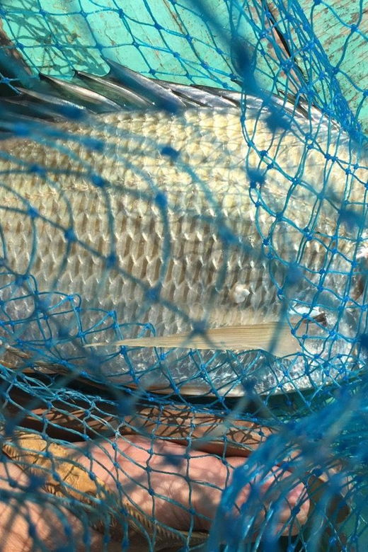 from-cat-ba-island-private-full-day-fishing-tour-lan-ha-bay