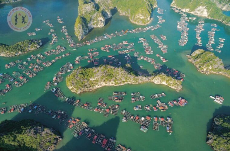 from-cat-ba-island-private-full-day-fishing-tour-lan-ha-bay