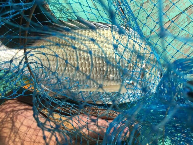 from-cat-ba-island-private-full-day-fishing-tour-lan-ha-bay