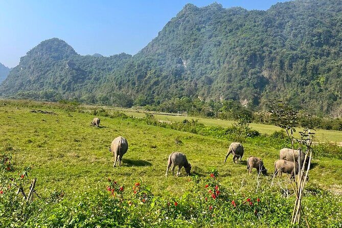 From Cat Ba: Lan Ha Bay Best Day Trip with Kayaking, Biking,Lunch - FAQ