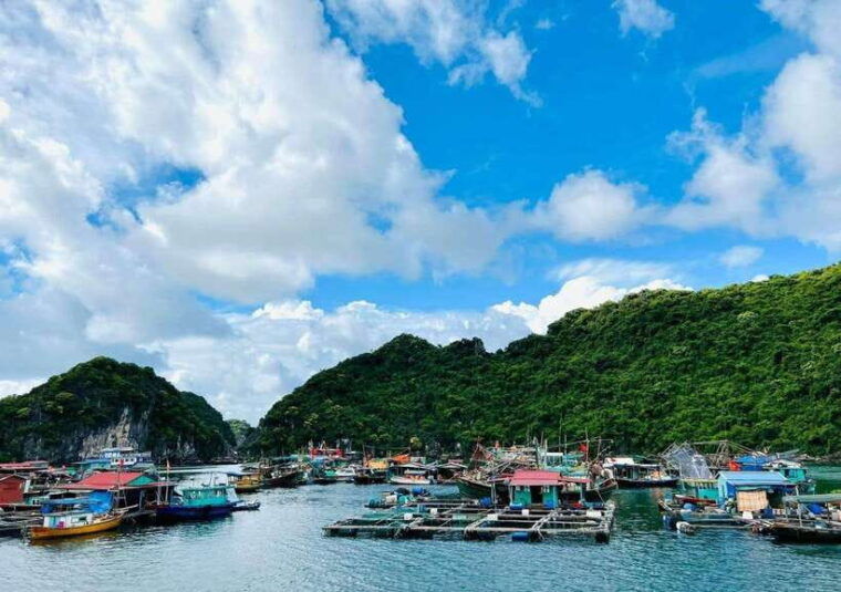 from-cat-ba-lan-ha-bay-day-trip-with-kayaking-biking-meal