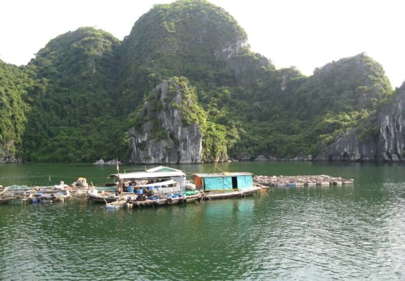 From Cat Ba: Lan Ha Bay-Halong Bay, Kayak, Snorkel, Swimming - Things to Consider