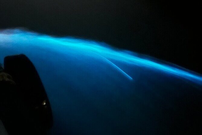 From Cat Ba: Sunset & Bioluminescent Plankton Night Kayak Tour - Practical Details & Tips