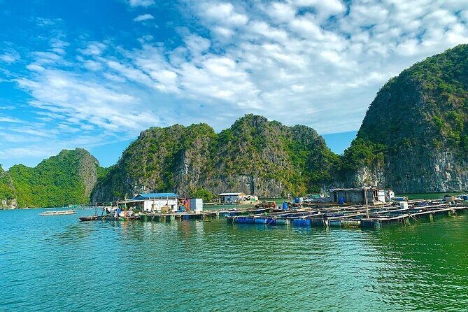 From Cat Ba: Sunset & Bioluminescent Plankton Night Kayak Tour - Who Will Love This Tour?