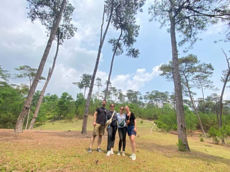 From Cat Ba to Ha Giang Loop Tour 3D/2N with Strawberry - The Value of the Experience