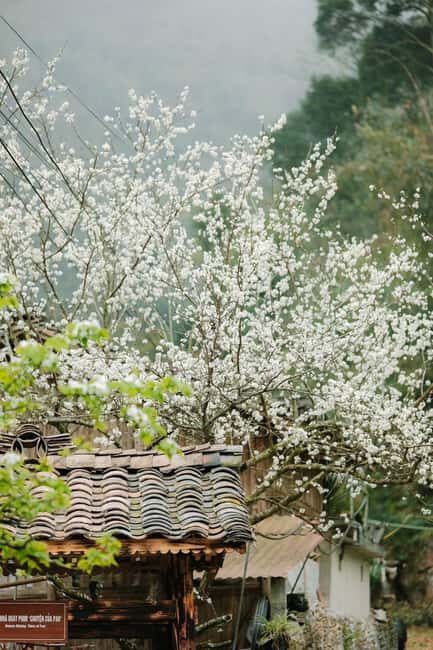 From Cat Ba to Ha Giang Loop Tour 4D3N with Strawberry - Final Thoughts